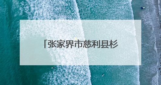 张家界市慈利县杉木桥镇：闻“汛”而动显担当 齐心筑牢“安全堤”