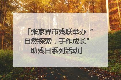 张家界市残联举办“自然探索，手作成长”助残日系列活动