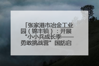 张家港市冶金工业园（锦丰镇）：开展“小小兵成长季——勇敢挑战营”国防启蒙教育活动