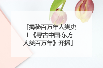揭秘百万年人类史！《寻古中国·东方人类百万年》开播