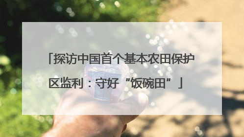 探访中国首个基本农田保护区监利：守好“饭碗田”