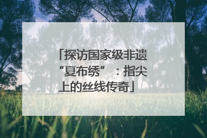 探访国家级非遗“夏布绣”：指尖上的丝线传奇