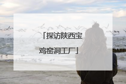 探访陕西宝鸡窑洞工厂