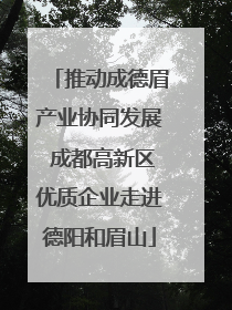 推动成德眉产业协同发展 成都高新区优质企业走进德阳和眉山