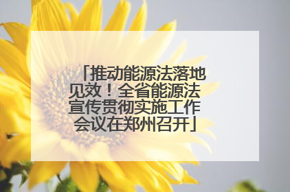 推动能源法落地见效！全省能源法宣传贯彻实施工作会议在郑州召开