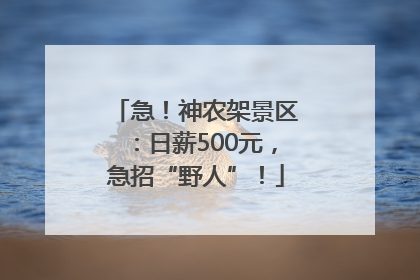 急！神农架景区：日薪500元，急招“野人”！