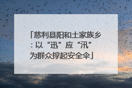 慈利县阳和土家族乡：以“迅”应“汛” 为群众撑起安全伞