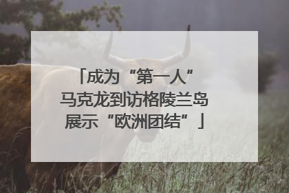 成为“第一人” 马克龙到访格陵兰岛展示“欧洲团结”
