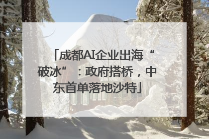 成都AI企业出海“破冰”：政府搭桥，中东首单落地沙特