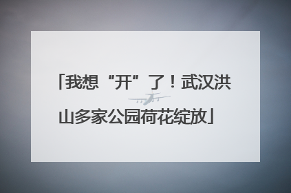 我想“开”了！武汉洪山多家公园荷花绽放