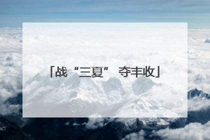 战“三夏” 夺丰收
