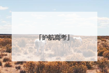 护航高考