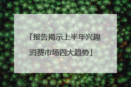 报告揭示上半年兴趣消费市场四大趋势