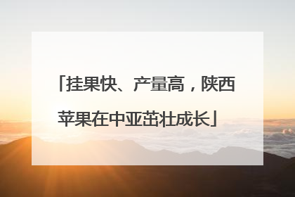 挂果快、产量高，陕西苹果在中亚茁壮成长