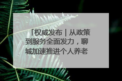 权威发布｜从政策到服务全面发力，聊城加速推进个人养老金制度落地