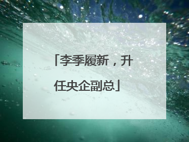 李季履新，升任央企副总