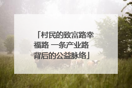 村民的致富路幸福路 一条产业路背后的公益脉络
