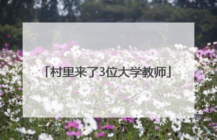 村里来了3位大学教师