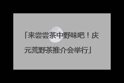 来尝尝茶中野味吧！庆元荒野茶推介会举行