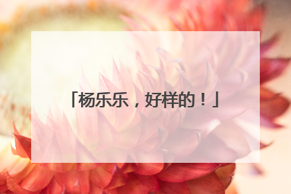 杨乐乐，好样的！