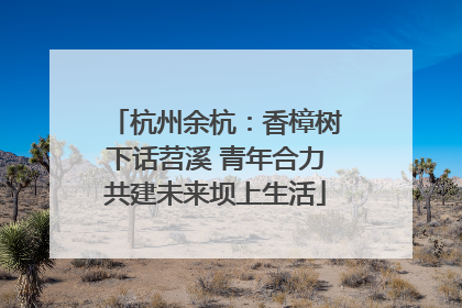杭州余杭：香樟树下话苕溪 青年合力共建未来坝上生活