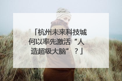杭州未来科技城何以率先激活“人造超级大脑”？