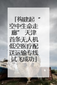 构建起“空中生命走廊” 天津首条无人机低空医疗配送运输专线试飞成功