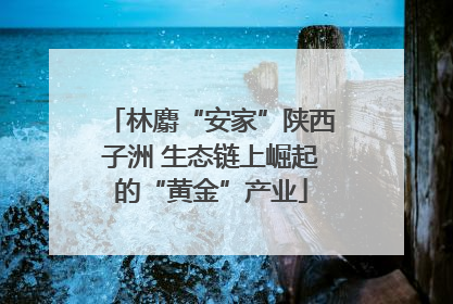 林麝“安家”陕西子洲 生态链上崛起的“黄金”产业
