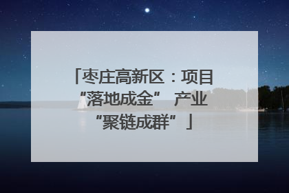 枣庄高新区：项目“落地成金” 产业“聚链成群”