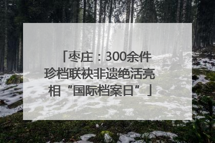 枣庄：300余件珍档联袂非遗绝活亮相“国际档案日”