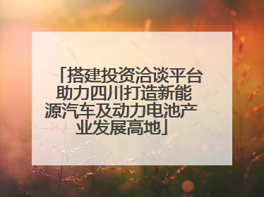 搭建投资洽谈平台 助力四川打造新能源汽车及动力电池产业发展高地