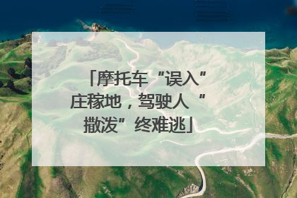 摩托车“误入”庄稼地，驾驶人“撒泼”终难逃