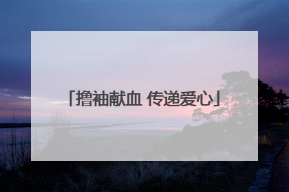 撸袖献血 传递爱心