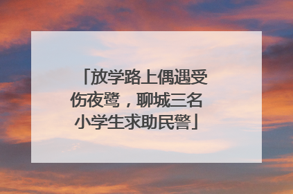 放学路上偶遇受伤夜鹭，聊城三名小学生求助民警