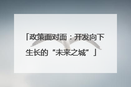 政策面对面：开发向下生长的“未来之城”