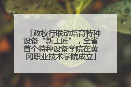 政校行联动培育特种设备“新工匠”，全省首个特种设备学院在黄冈职业技术学院成立