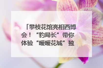 攀枝花馆亮相西博会！“豹局长”带你体验“暖暖花城”独特魅力｜西博视界