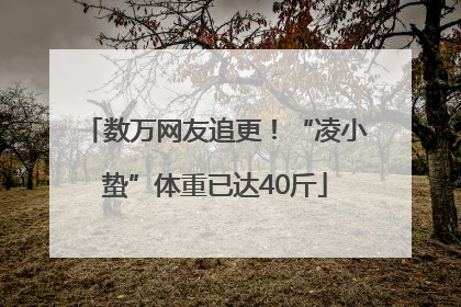 数万网友追更！“凌小蛰”体重已达40斤