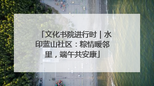 文化书院进行时｜水印蓝山社区：粽情暖邻里，端午共安康