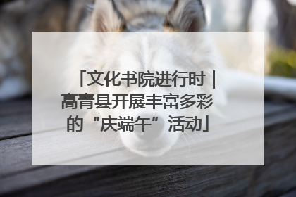 文化书院进行时｜高青县开展丰富多彩的“庆端午”活动