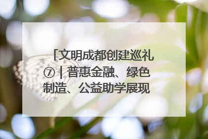 文明成都创建巡礼⑦｜普惠金融、绿色制造、公益助学展现城市文明底色