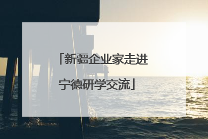 新疆企业家走进宁德研学交流
