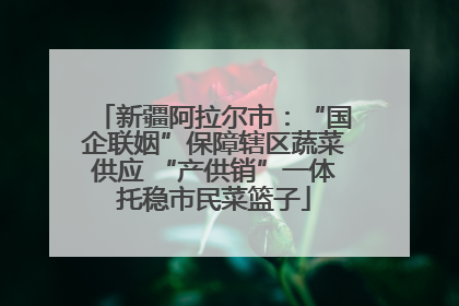 新疆阿拉尔市：“国企联姻”保障辖区蔬菜供应 “产供销”一体托稳市民菜篮子