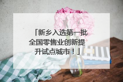 新乡入选第一批全国零售业创新提升试点城市！