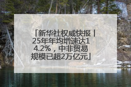 新华社权威快报丨25年年均增速达14.2%，中非贸易规模已超2万亿元