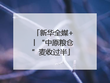 新华全媒+丨“中原粮仓”麦收过半
