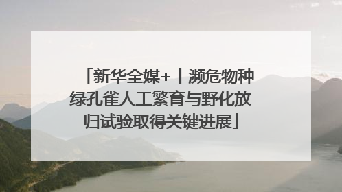 新华全媒+丨濒危物种绿孔雀人工繁育与野化放归试验取得关键进展
