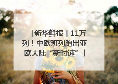 新华鲜报丨11万列！中欧班列跑出亚欧大陆“新时速”