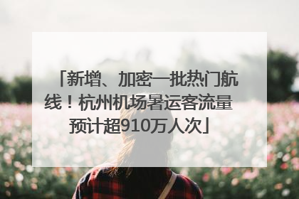 新增、加密一批热门航线！杭州机场暑运客流量预计超910万人次