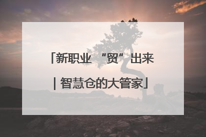 新职业 “贸”出来｜智慧仓的大管家